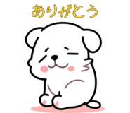 851254362