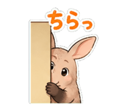 851254488