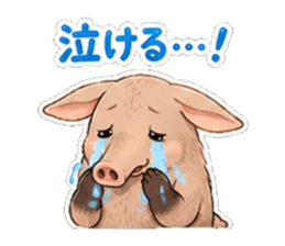 851254503