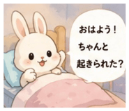 851254625