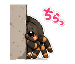 851255520