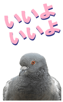 851255961