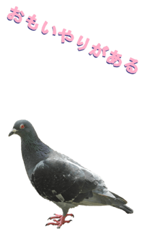 851255964