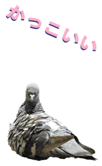 851255965