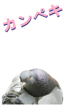 851255968