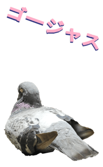 851255972