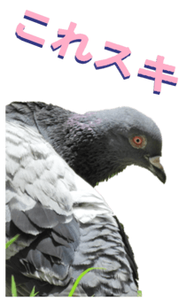 851255974