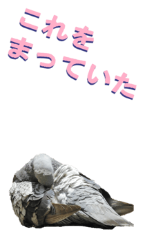 851255975