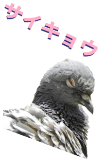 851255976