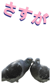 851255978