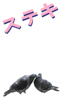 851255985