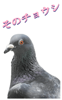 851255988