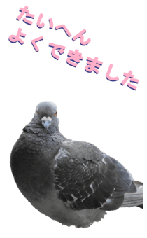 851255990
