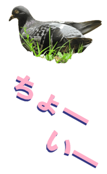 851255991