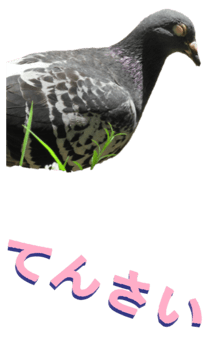 851255992