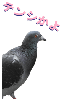 851255993