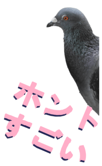 851255996
