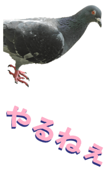 851255998