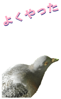 851256000