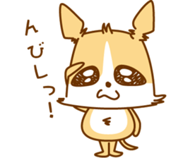 8512562