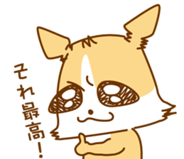 8512570