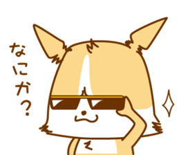 8512578