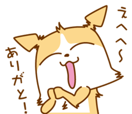 8512579