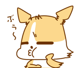 8512581