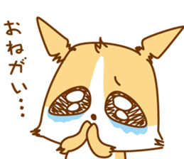 8512588