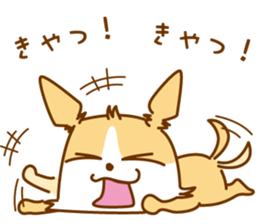 8512590