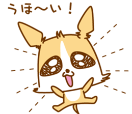 8512597