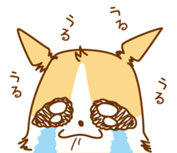 8512598