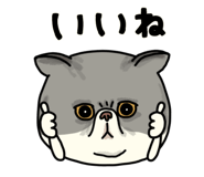 851262613