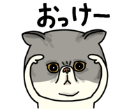 851262616