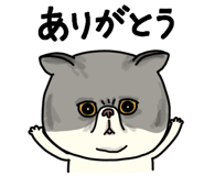 851262619