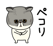 851262620