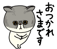 851262623