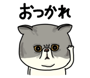 851262624