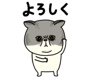 851262625