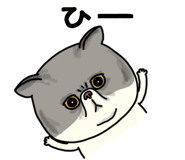 851262626