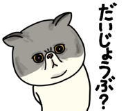 851262628