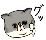 851262629