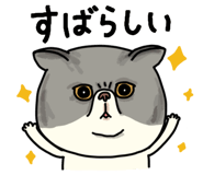 851262630