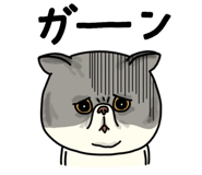 851262633