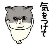 851262634
