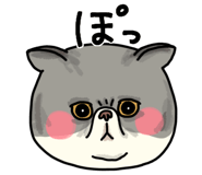 851262635