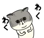 851262637