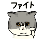 851262638