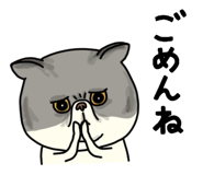 851262643