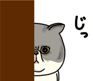 851262644